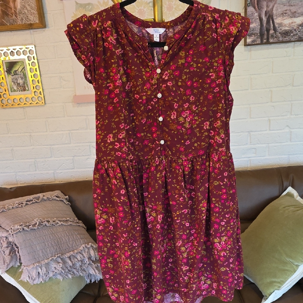 Time and Tru Kids Dress in Red and Pink Floral